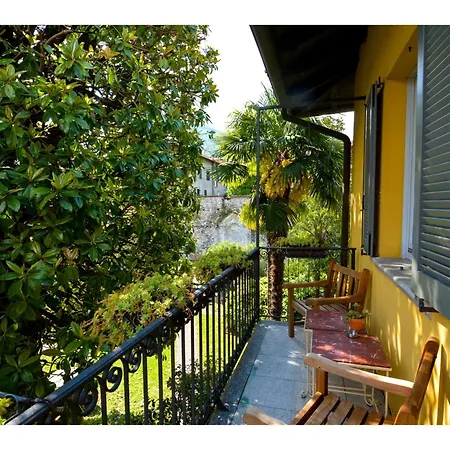 Timeless Garden *