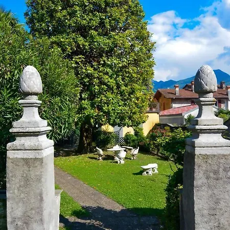 Timeless Garden